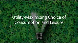 UtilityMaximizing Choice of Consumption and Leisure [upl. by Woods]