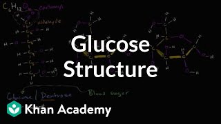 Molecular structure of glucose  Macromolecules  Biology  Khan Academy [upl. by Trabue]