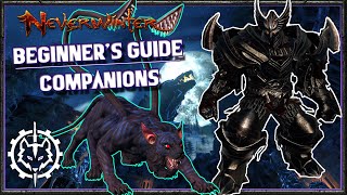 Neverwinter  Beginners Guide Companions [upl. by Bloom62]