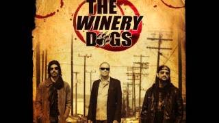 The Winery Dogs  Elevate [upl. by Jake]