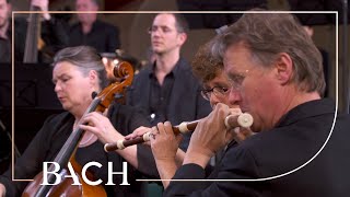 Bach  Cantata O ewiges Feuer BWV 34  Van Veldhoven  Netherlands Bach Society [upl. by Zadoc858]