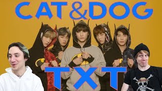 TXT  Cat amp Dog Reaction [upl. by Buell533]