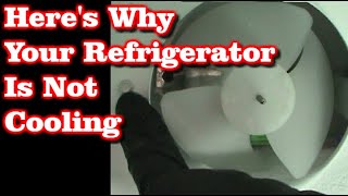 Refrigerator Not Cooling But Freezer Is Fine [upl. by Ahseihs]