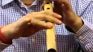 How to grip Bansuri Bamboo flute Beginner Learner [upl. by Phail]