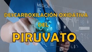 DESCARBOXILACIÓN OXIDATIVA DEL PIRUVATO [upl. by Lenoil857]