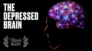 Your Brain on Depression Neuroscience Animated [upl. by Fabi]