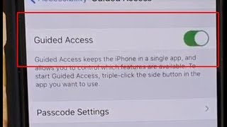 iPhone 11 Pro How to Enable  Disable Guided Access [upl. by Shih976]