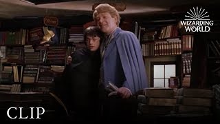 Gilderoy Lockhart  Harry Potter and the Chamber of Secrets [upl. by Schulman]