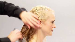 Aveda HowTo  Everyday Body amp Increased Volume for Fine Hair [upl. by Mcevoy170]