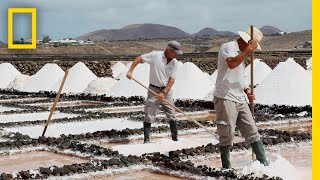 Ever Wonder How Sea Salt Is Made Find Out Here  National Geographic [upl. by Grosberg]