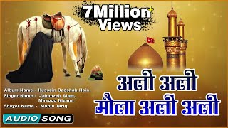 Ali Ali Maula Ali Ali  Beautiful Qawwali Video Song  Muharram Special Audio [upl. by Elay]