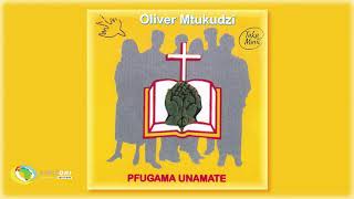 Oliver Tuku Mtukudzi  Pfugama Unamate Official Audio [upl. by Collum]