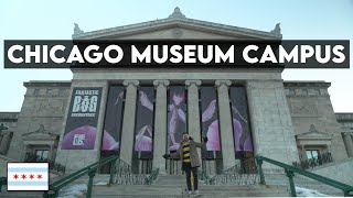 BEST CHICAGO MUSEUMS Adler Planetarium Shedd Aquarium amp Field Museum Campus Chicago Tour [upl. by Posehn]