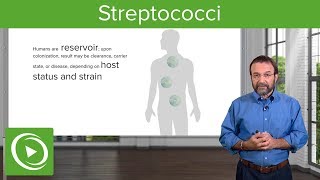 Streptococci – Microbiology  Lecturio [upl. by Nyltac]