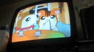 hamtaro episode 6 part 12 [upl. by Brana]