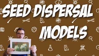 More Seed Dispersal Models [upl. by Dessma]