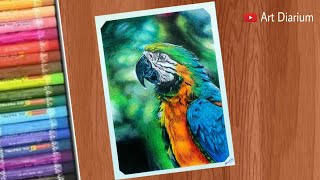 Art with Oil Pastels  Macaw Parrot Drawing tutorial for beginners  Step by step [upl. by Himelman]