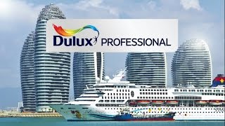 Introducing Dulux Professional [upl. by Enytsirhc111]