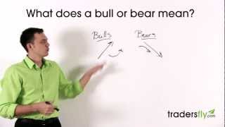 What Does a Bull and Bear Mean in the Stock Market [upl. by Spearing]