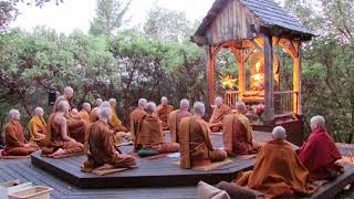 Pali Chanting In The Abhayagiri Buddhist Monastery  Theravada Buddhism [upl. by Schuyler166]