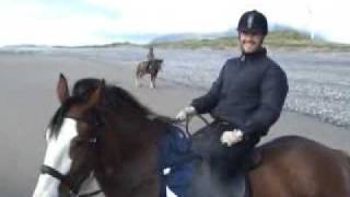 Clydesdale heavy horses during beach gallop [upl. by Gnot]