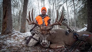 Giant Saskatchewan Archery Whitetail  Pierceland Outfitters [upl. by Ainav641]