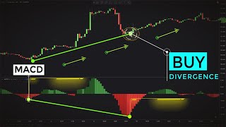 Trading MACD Divergences Like Professional Traders Forex amp Stocks Strategy [upl. by Adnarem234]