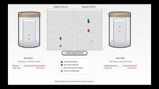 TLC Thin Layer Chromatography [upl. by Enahpad]