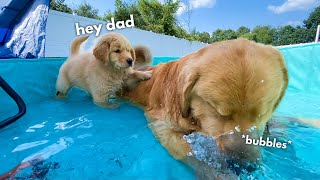 Tucker Shows Todd How to Swim [upl. by Lad]