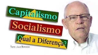 Qual a Diferença entre Capitalismo e Socialismo [upl. by Court894]