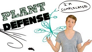 Plant Defense and Disease Resistance [upl. by Norred]