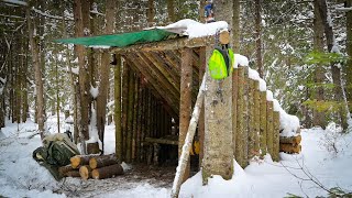 Building a Fort in the WoodsOVERNIGHT BUSHCRAFT CAMP in the Snow w My Dog [upl. by Alber]