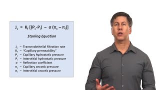 An Approach to Peripheral Edema [upl. by Natloz]