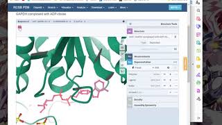 Using PyMOL for protein mutagenesis [upl. by Aniez]