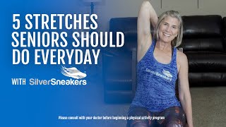 5 Stretches Seniors Should Do Everyday [upl. by Gnut]