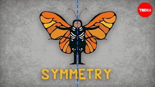 The science of symmetry  Colm Kelleher [upl. by Hose]