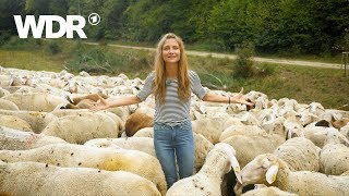 neuneinhalb – Deine Reporter Wanderschäfer  WDR [upl. by Dahraf556]