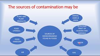 SOURCES OF CONTAMINATION IN FOOD [upl. by Asial]