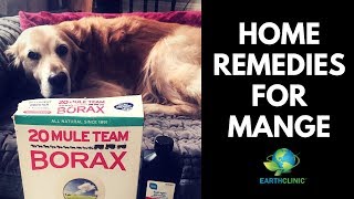 Home Remedies for Mange  Teds Famous Borax for Mange Treatment [upl. by Grath]