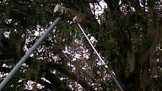 Cut Tree Branches Over House Without Hitting the Roof [upl. by Yelrebmik]