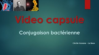 Video Capsule  Conjugaison bactérienne [upl. by Eselrahc]