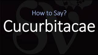 How to Pronounce Cucurbitacae CORRECTLY [upl. by Ahtiek]