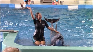 Dolphin Show at Ocean Adventures Marine Park 72820 [upl. by Maye]