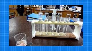 A level Biology ENZYMES REQUIRED PRACTICAL [upl. by Braunstein]