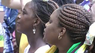 Oliver Mtukudzi  Responsibilities  LIVE at Afrikafestival Hertme 2013 [upl. by Enelrad916]