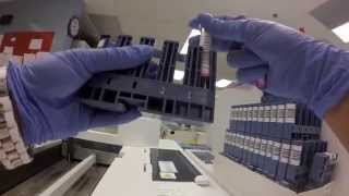 Behind the scenes What happens to a blood sample [upl. by Amerd]