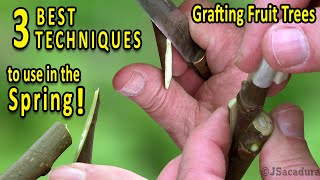 Grafting Fruit Trees  The 3 BEST Grafting Techniques for SPRING [upl. by Sirotek367]