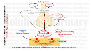 GPAT Exclusive Antidote for Organophosphorus Poisoning  Atropine Mechanism of Action as Antidotes [upl. by Celin]