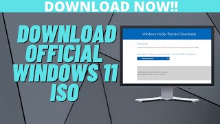 How to Download Official Windows 11 ISO [upl. by Oneal]