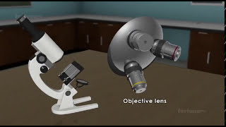 How a compound microscope works  3D animated [upl. by Clari]